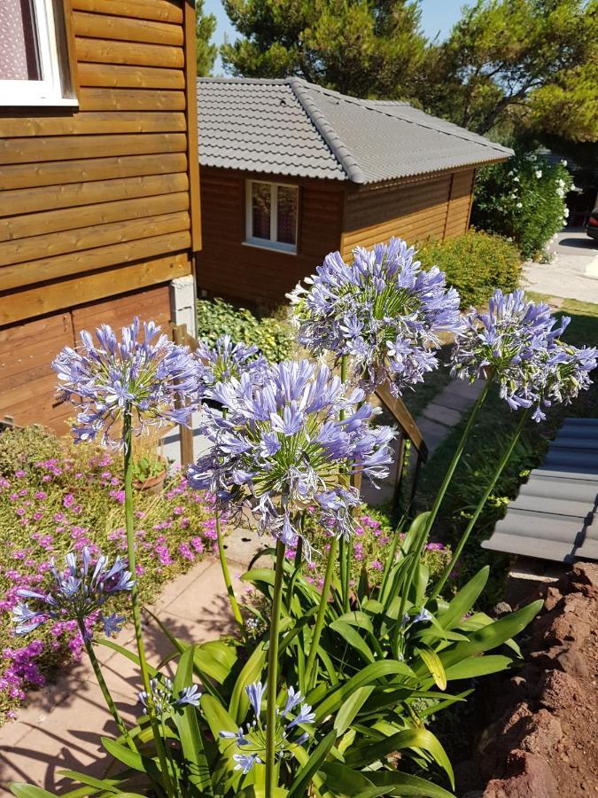 Parc Residentiel Les Hauts De Baldy Agde Exterior foto